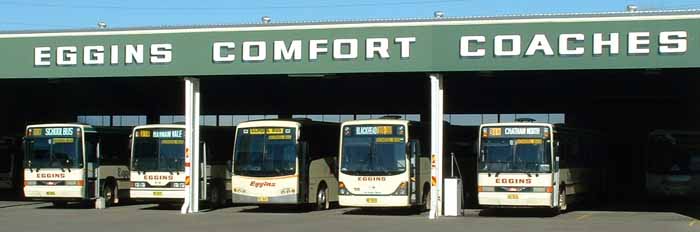 Eggins Comfort Coaches depot